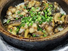 -红星光发煲仔饭(大石街店)