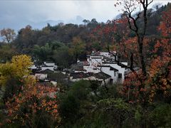 -塔川景区