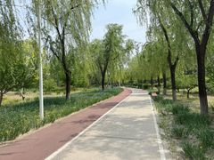 -绿堤公园