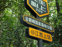 -云碧峰国家森林公园
