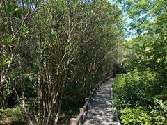 -新江湾城公园