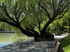 -金桥现代产业园区-停车场