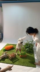 -有家宝贝儿童摄影(荟聚店)