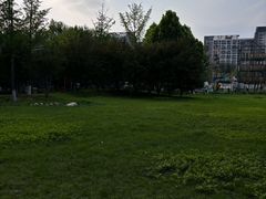 -回龙观体育文化公园
