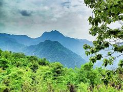 -秦岭风景区