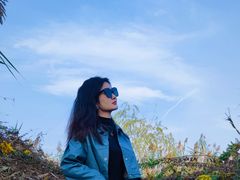 -合肥滨湖国家森林公园