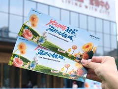 -成都泰迪熊博物馆