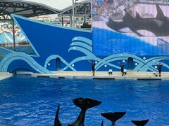 -上海海昌海洋公园