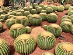 -南通洲际绿博园