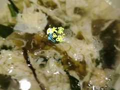 -吉野家 (新街口外大街店)