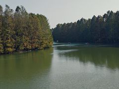 -上海海湾国家森林公园