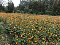 -桤木河湿地公园