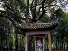 -兰亭风景区