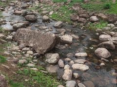 -白塘生态植物园
