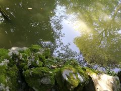 -绮园景区