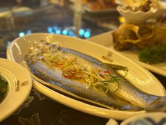 -白鹿苑蒙餐(鄂温克宾馆店)