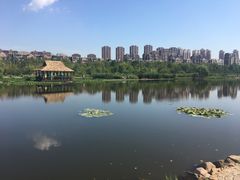-前关湿地公园