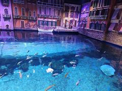 -华夏文旅西安度假区