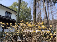 -虞山风景区