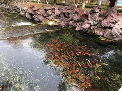 -水磨沟公园