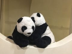 -熊猫川菜馆 panda chine
