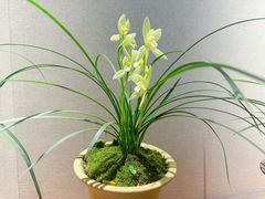 -北京植物园-展览温室