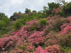 -木兰云雾山