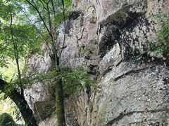 -炎陵县神农谷国家森林公园