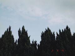 -南沙蒲洲花园