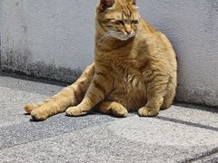 -上海市工艺美术博物馆