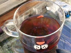 -喵屿·大理花园猫咖