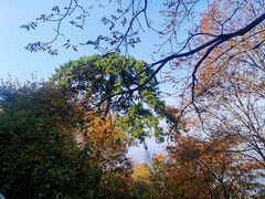 -终南山南五台景区