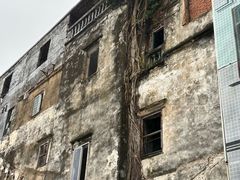 -吴日彪蒜香猪牛排(水巷口店)