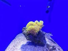 -北海海底世界