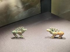 -张掖市博物馆