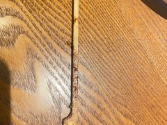 -比格比萨自助(万柳华联店)