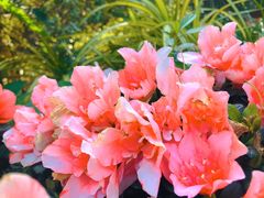 -人民公园(罗湖区)