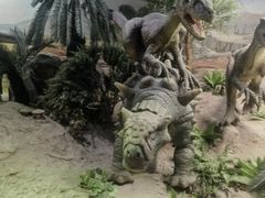 -国家自然博物馆