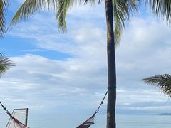 -三亚海棠湾万丽度假酒店