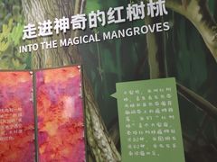 -东寨港红树林旅游区