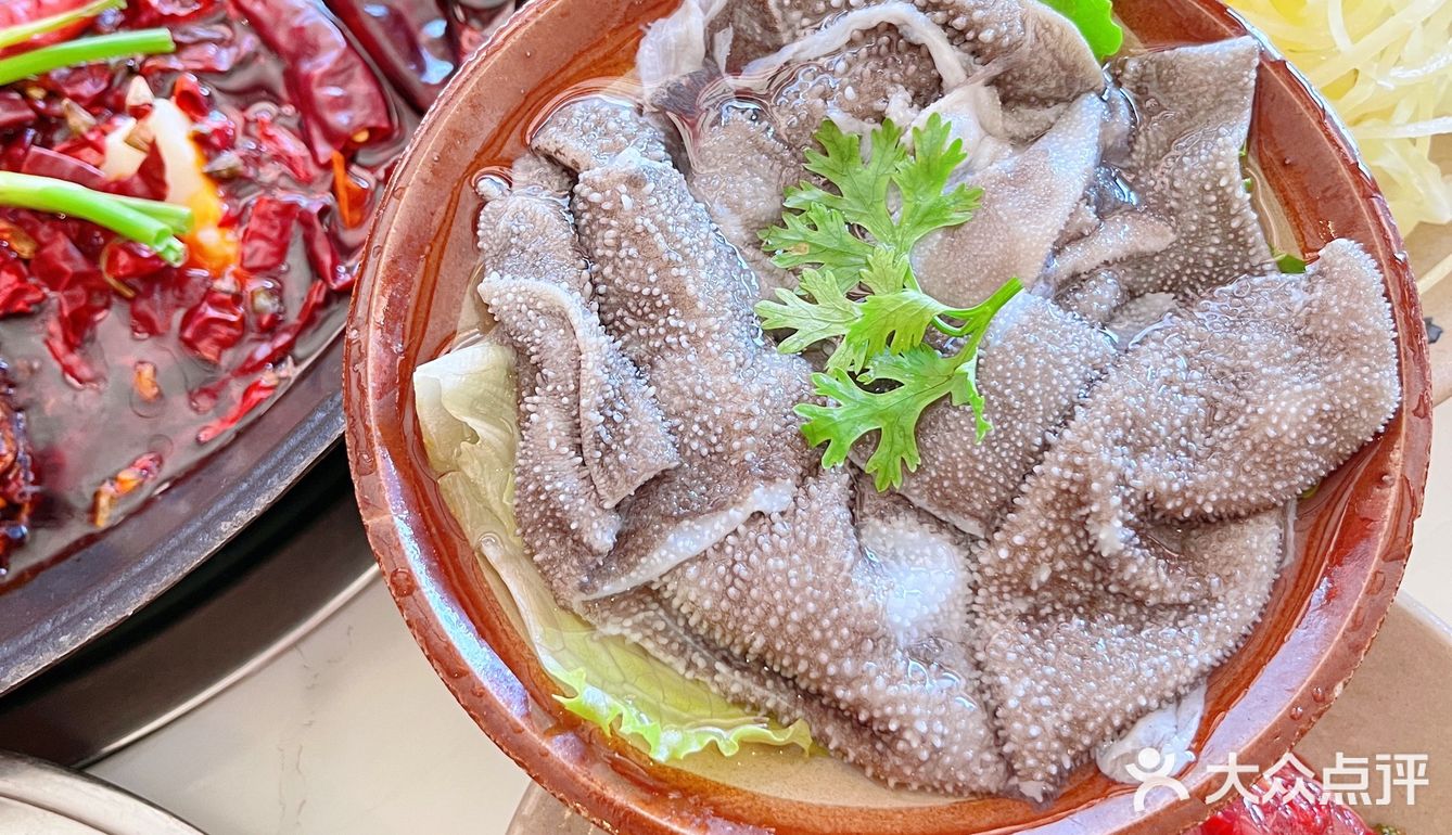 我在新青年等你