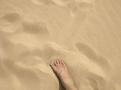 -日照海滨国家森林公园