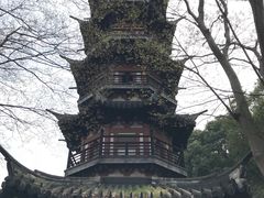 -上海佘山国家森林公园西佘山园