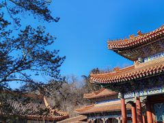 -颐和园