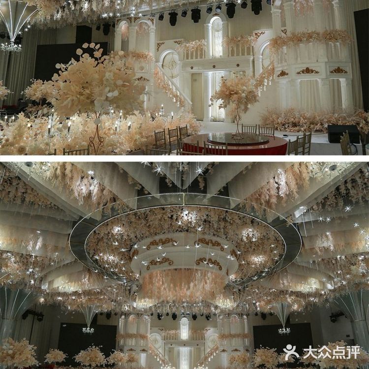 好多花花太美啦