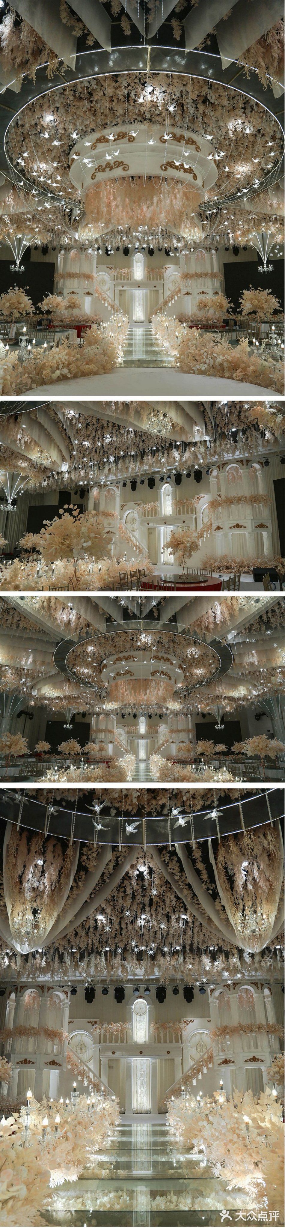 好多花花太美啦