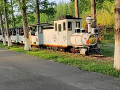 -黄海国家森林公园