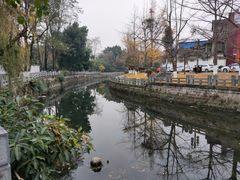 -桂湖森林公园