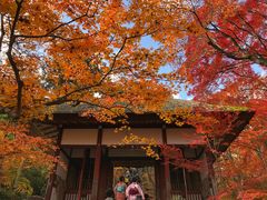 -常寂光寺