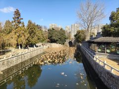 -水绘园